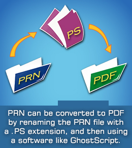 File Extension Prn Pdf